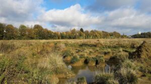 Friche Josaphat : Schaerbeek rend un avis défavorable au projet d&rsquo;urbanisation