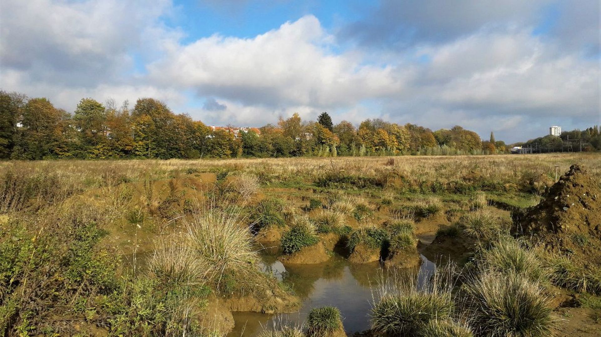 Friche Josaphat : Schaerbeek rend un avis défavorable au projet d’urbanisation